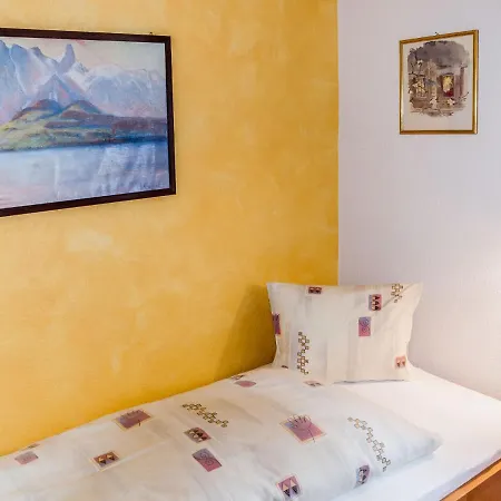 Apartment Apartment Hotel Hirschen-2 *