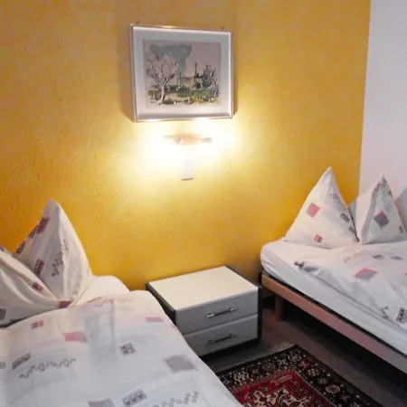 Apartment Hotel Hirschen-2 *